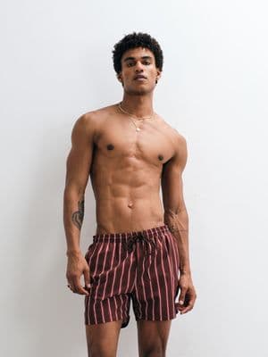 South Beach striped swim shorts
