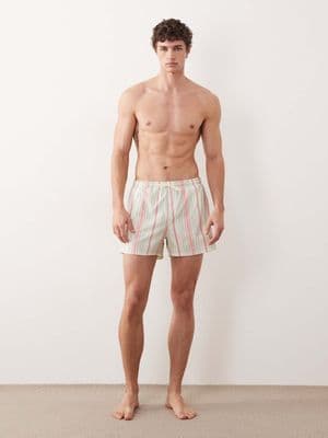 Free Society swim shorts