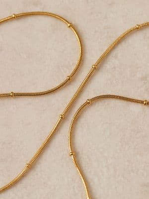 Lost Souls stainless steel 18ct gold plated satellite fine chain necklace