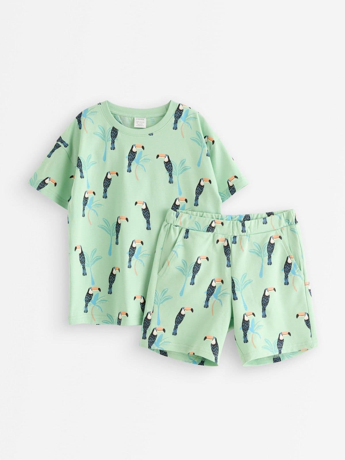 Set - t-shirt and sweat shorts Light Dusty Green 1